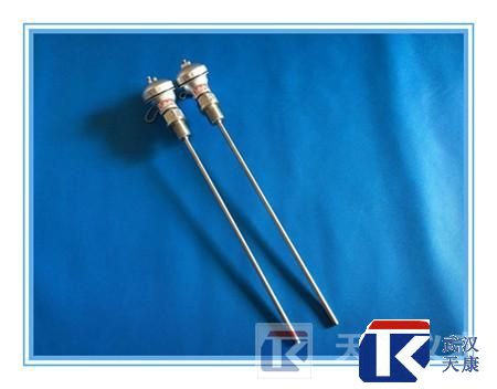 ��װ�ȵ���/WZPK-238/pt100�ȵ���
