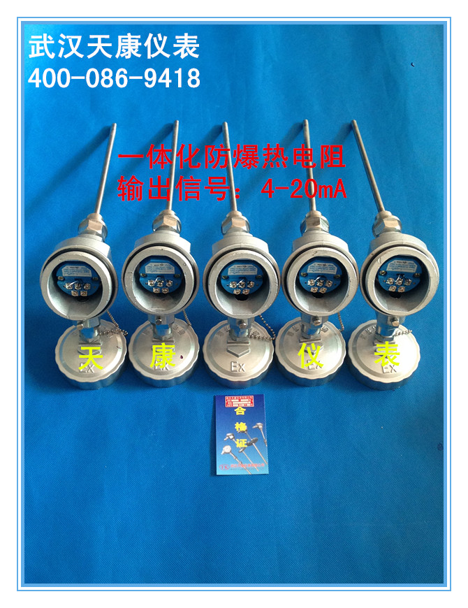 防爆热电阻
