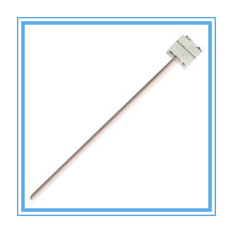 �����ȵ�ż