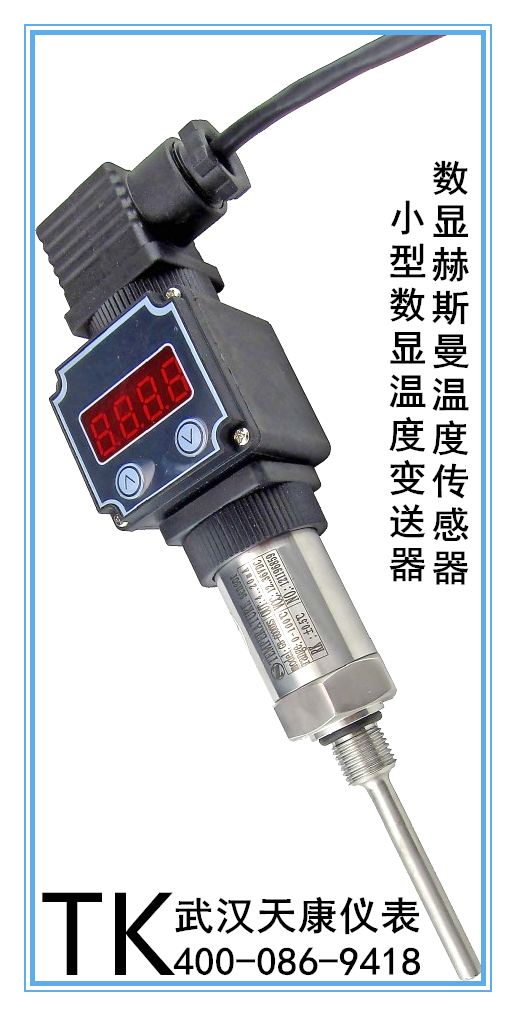 赫斯曼温度传感器